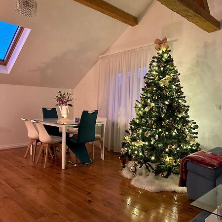 Attic 33 Apartment Câmpulung Moldovenesc Екстериор снимка