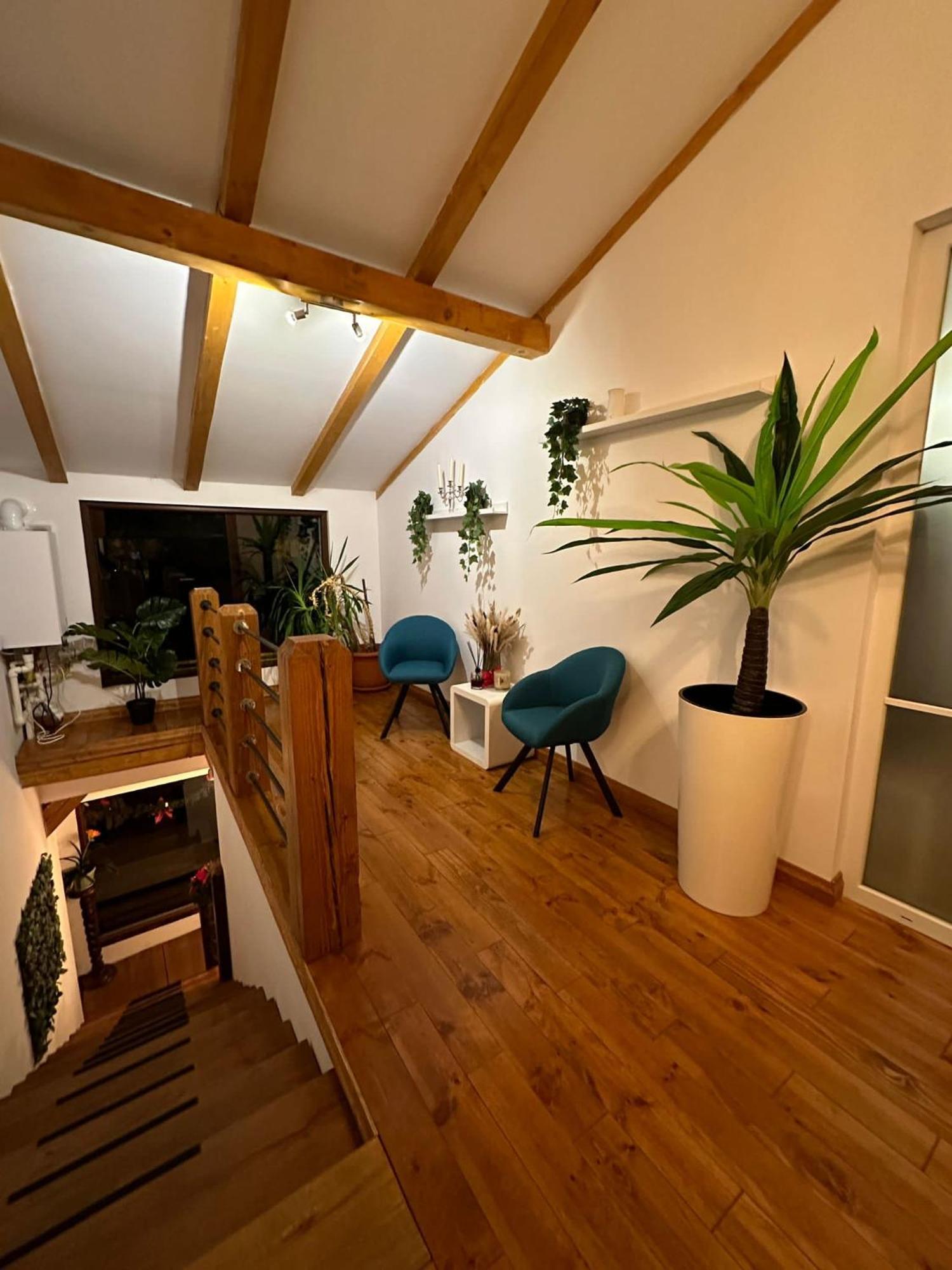 Attic 33 Apartment Câmpulung Moldovenesc Екстериор снимка